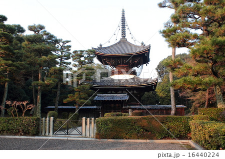 京都 近衛天皇安楽寿院南陵 京都 近衛天皇安楽寿院南陵 16440224