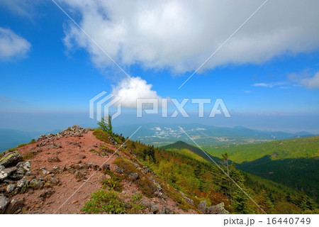 四阿山・根子岳登山 (14) 16440749