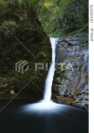 滝 渓谷 滝 渓谷 16440976