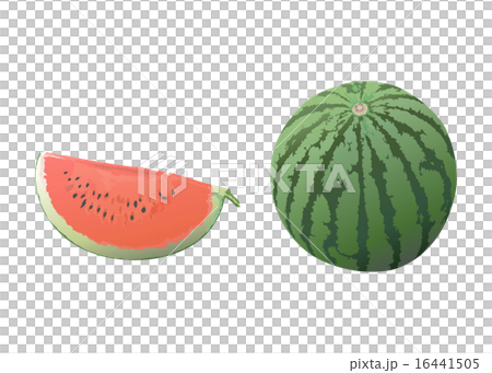 Watermelon illustration Watermelon illustration 16441505