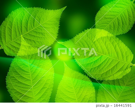 エコイメージの背景素材 16441591