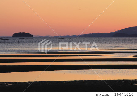 干潟　夕景 16441610