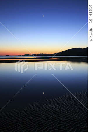 干潟　夕景 16441614