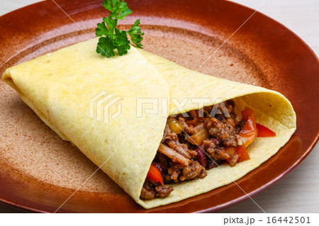 Burrito 16442501