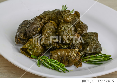 Dolma 16442615