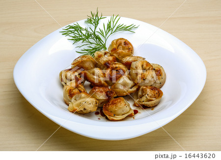 Fried russian dumplings Fried russian dumplings 16443620