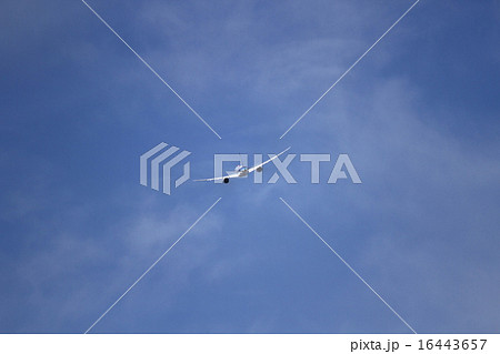 南へ・・・ 南へ・・・ 16443657