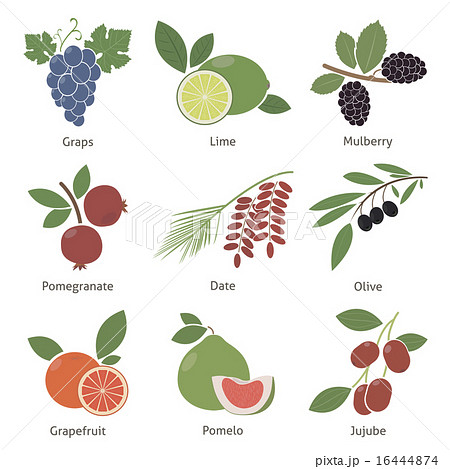 Fruits and berries Fruits and berries 16444874