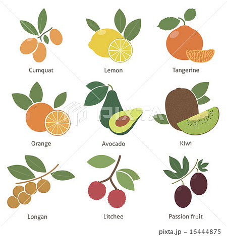 Fruits and berries 16444875