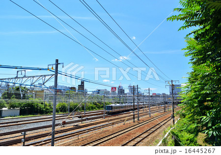 新大阪 新大阪 16445267