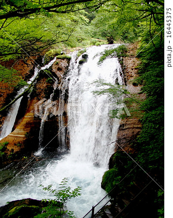 名水の滝 名水の滝 16445375