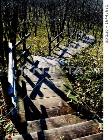 釧路市湿原展望台 16445631