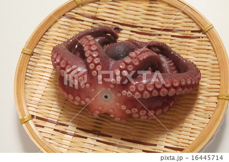 ゆでダコ 16445714