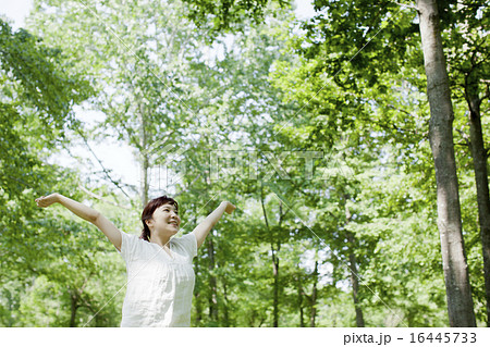 森林浴 森林浴 16445733