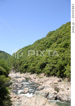 武庫川の渓谷 16445867