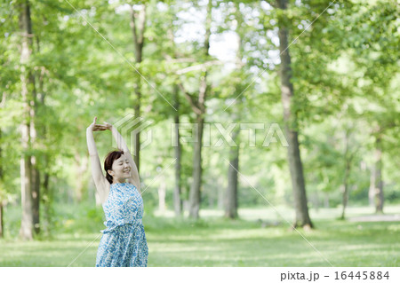 ストレッチ 16445884