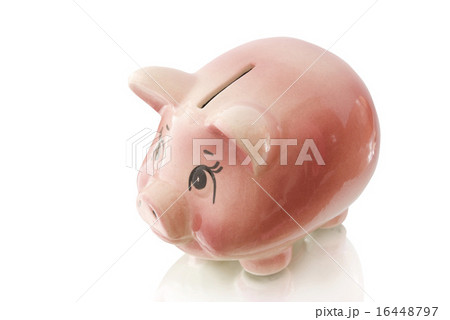 piggy bank piggy bank 16448797