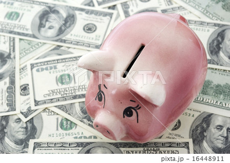 piggy bank piggy bank 16448911