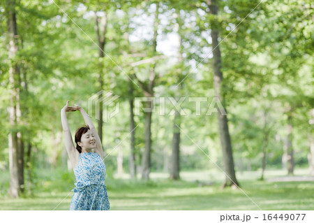 ストレッチ 16449077