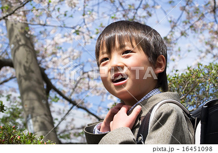 小学生と桜（入学イメージ） 16451098