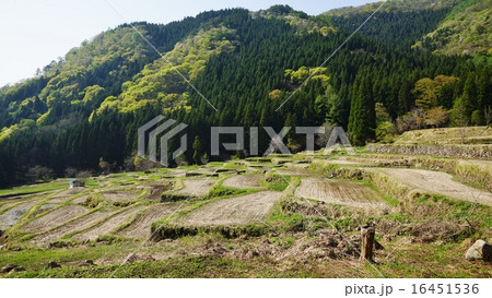 日本棚田百選福島新田 16451536