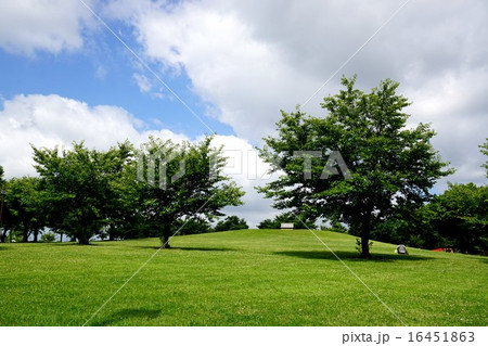 古代蓮の里Ancient lotus 古代蓮の里Ancient lotus 16451863