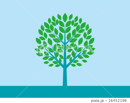 木 葉っぱ 木 葉っぱ 16452196