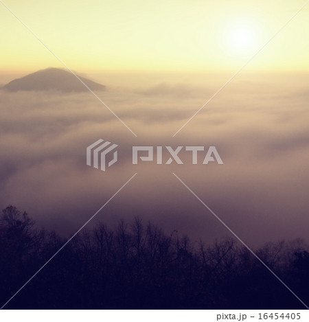 Fairy fogy sunrise in a countryside. Hill in fog Fairy fogy sunrise in a countryside. Hill in fog 16454405