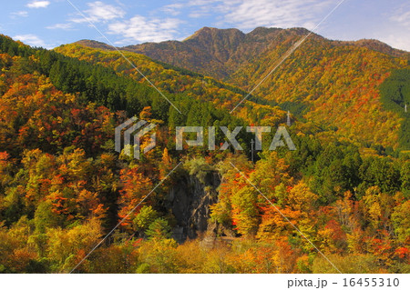 三嶺紅葉 三嶺紅葉 16455310