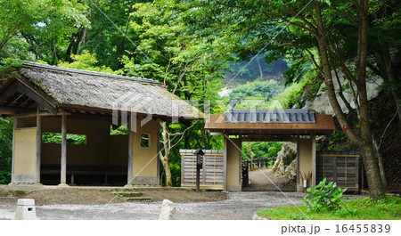 信州山田温泉舞の道 信州山田温泉舞の道 16455839