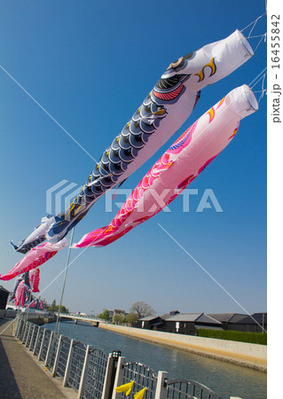 半田運河の鯉のぼり 半田運河の鯉のぼり 16455842