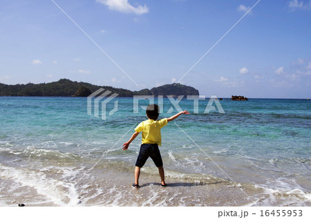 境浦海岸の風景とハシャグ子供(父島) 境浦海岸の風景とハシャグ子供(父島) 16455953
