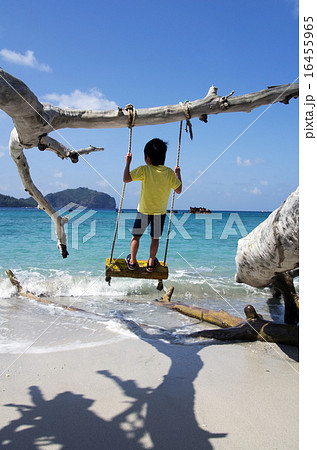 ブランコに乗る子供と境浦海岸の風景（父島） 16455965