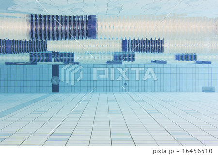 スポーツクラブ 16456610