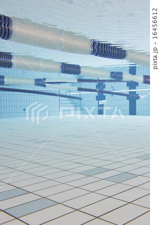 スポーツクラブ スポーツクラブ 16456612