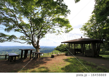 千葉県・君津市・鹿野山 千葉県・君津市・鹿野山 16456669
