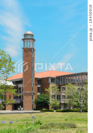 兵庫医療大学 兵庫医療大学 16456916