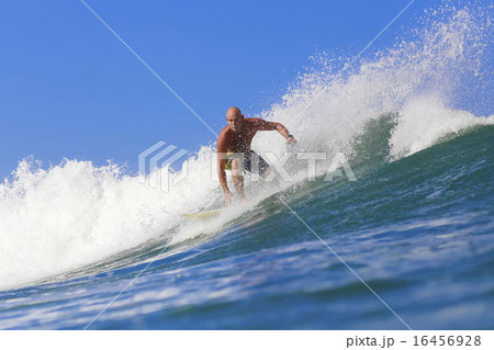 Surfer on Amazing Blue Wave Surfer on Amazing Blue Wave 16456928