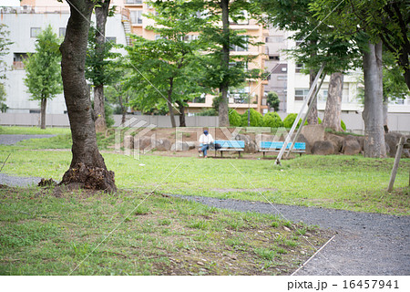 平日の公園 16457941