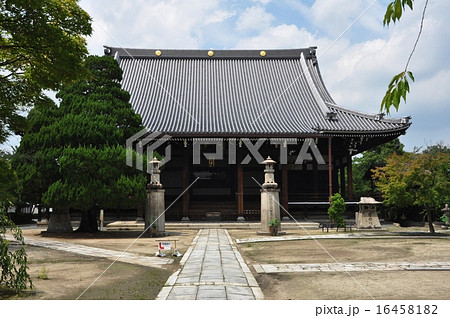 妙顕寺 妙顕寺 16458182