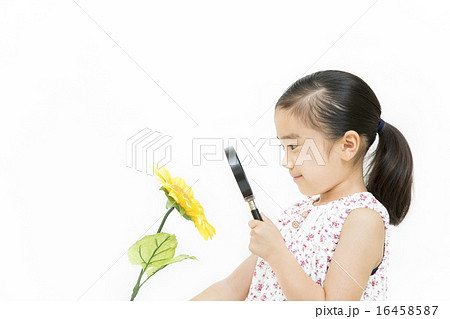 虫眼鏡を覗く女の子 16458587