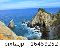 断崖の岬 16459252