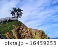 岬の空 16459253