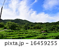 棚田の空 16459255