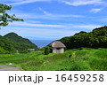 棚田と海 16459258
