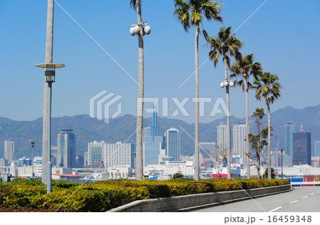 ポートアイランドから望む神戸の街並み 16459348
