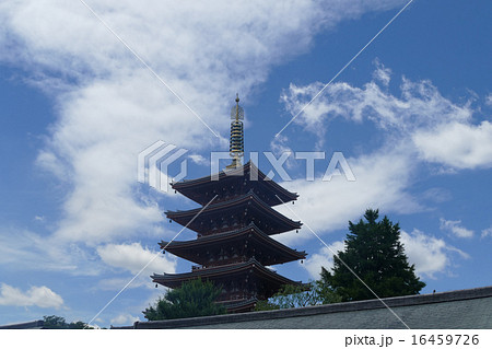 浅草 浅草寺 浅草 浅草寺 16459726
