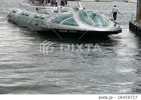 ホタルナ 日の出桟橋 ホタルナ 日の出桟橋 16459727