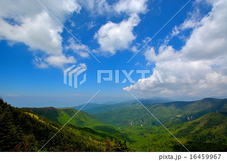 四阿山・根子岳登山 (45) 四阿山・根子岳登山 (45) 16459967