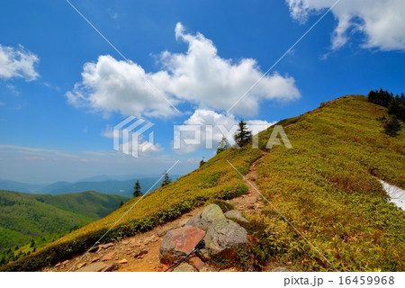 四阿山・根子岳登山 (46) 四阿山・根子岳登山 (46) 16459968